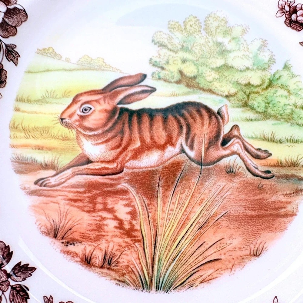Spode Woodland Plate Rabbit Brown Floral Border Made in England S3422 with Box